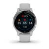 Garmin Venu 2s — Serebristye — фото 10
