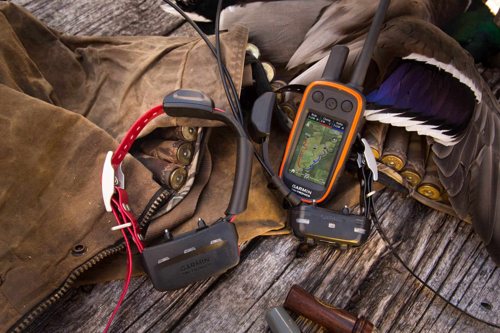 Garmin Alpha 300 — Color 50 — фото 7