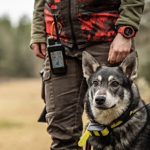 Garmin Alpha 200 — Color 50 — фото 10