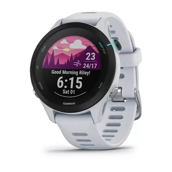 GARMIN Forerunner 255 (Whitestone)