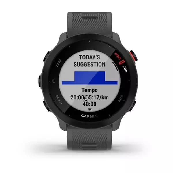 GARMIN Forerunner 55 (Monterra Grey) — фото 2