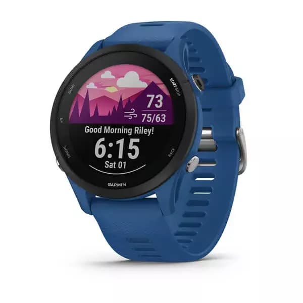 GARMIN Forerunner 255 (Tidal Blue)