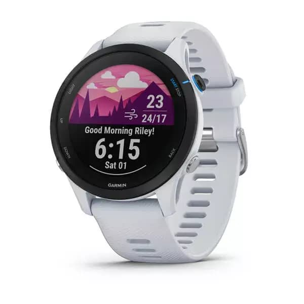 GARMIN Forerunner 255S (Whitestone)