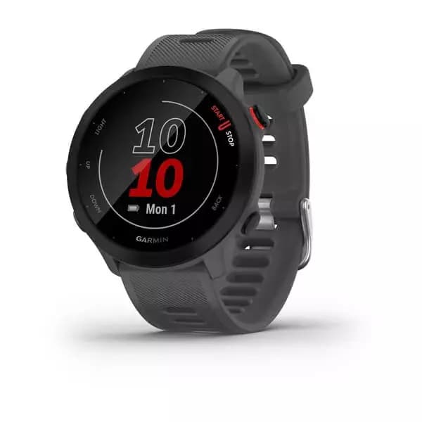 GARMIN Forerunner 55 (Monterra Grey)