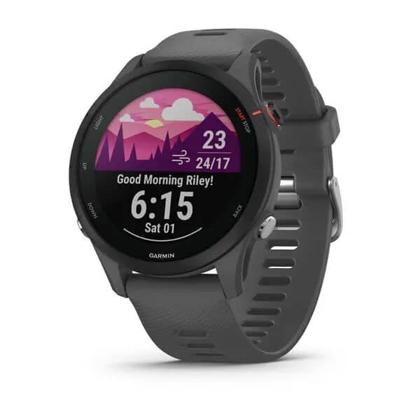 Garmin Forerunner 255 — Slate Grey
